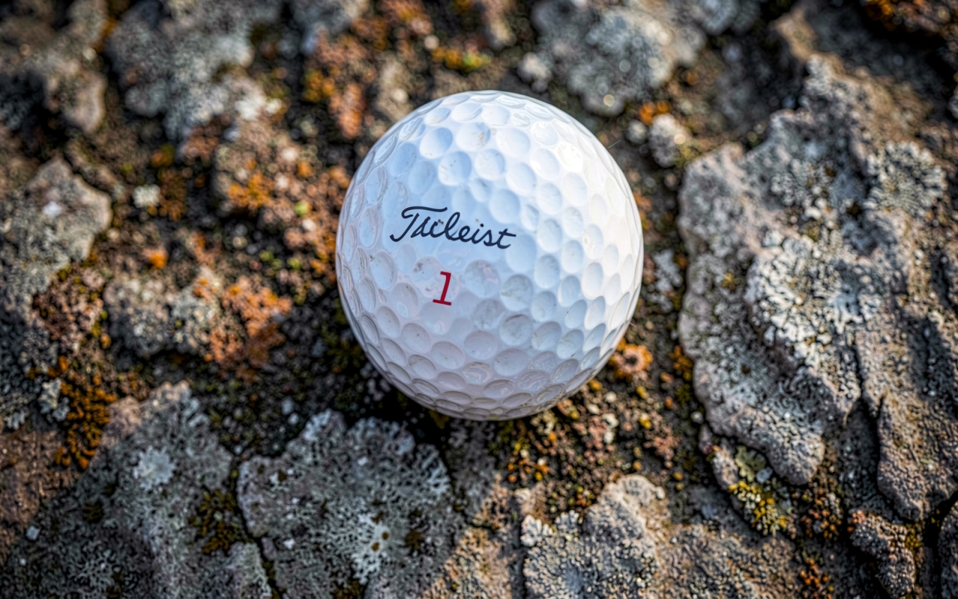 Гольф-мяч белый на сером камне