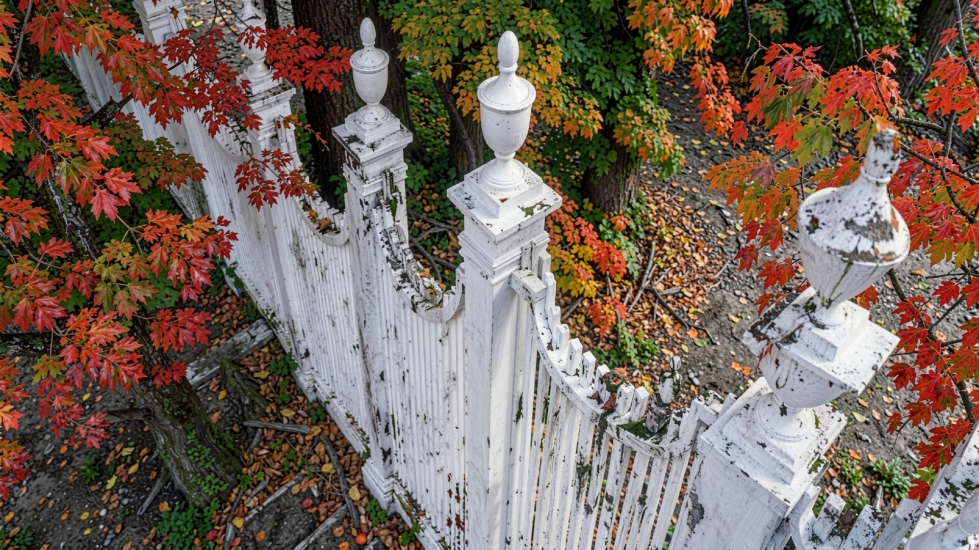Белый кованый забор в осеннем парке
