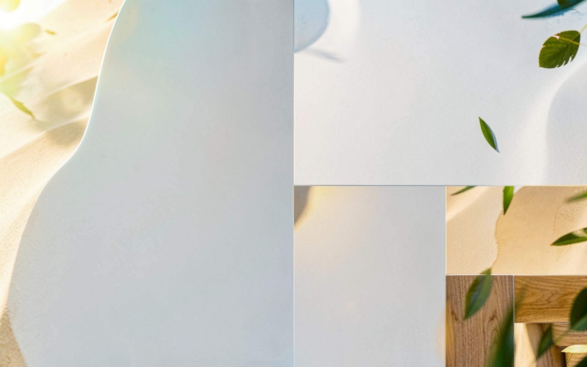 Минималистичный белый интерьер с тенями растений