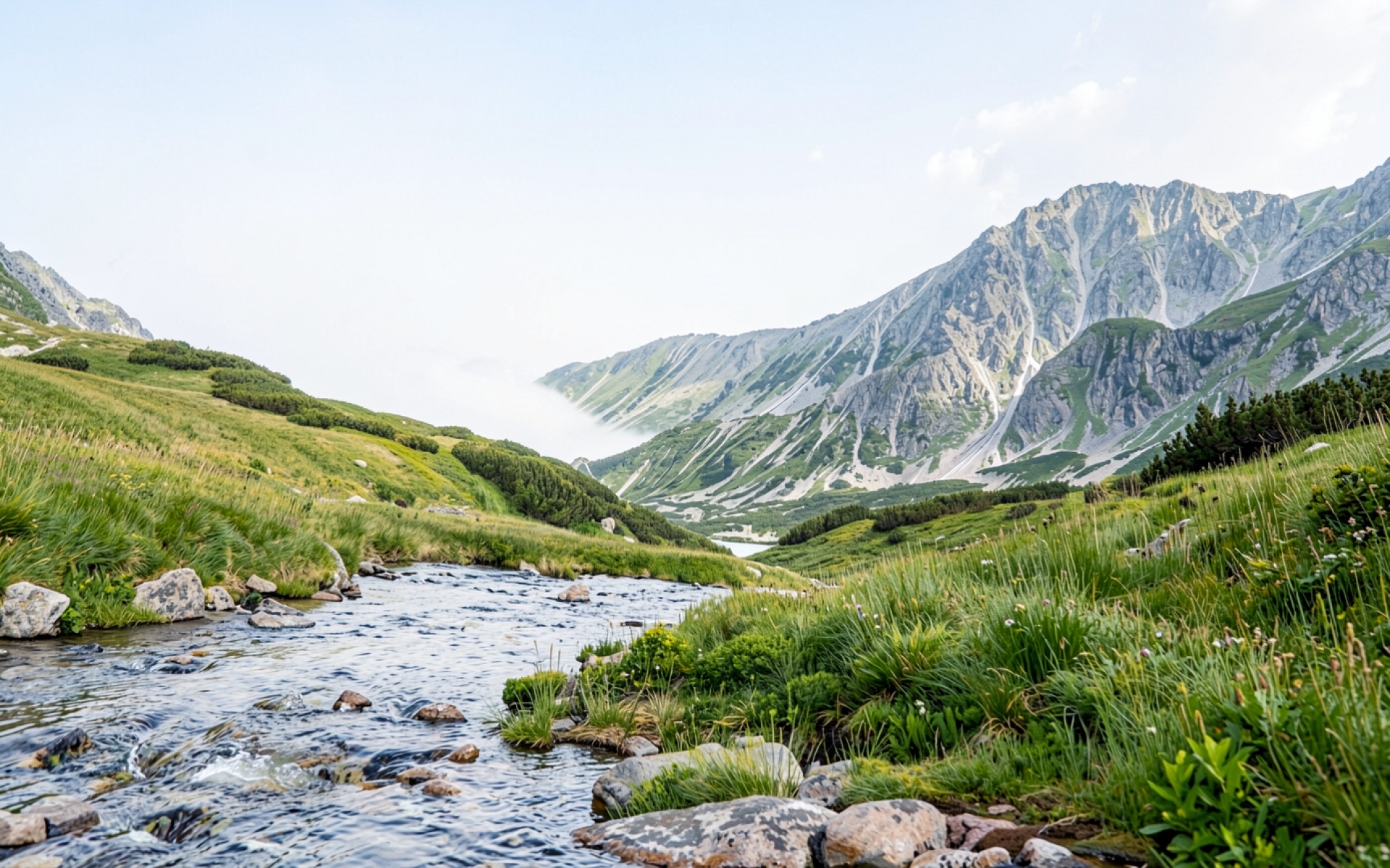 Горный ручей в зеленой долине Татр