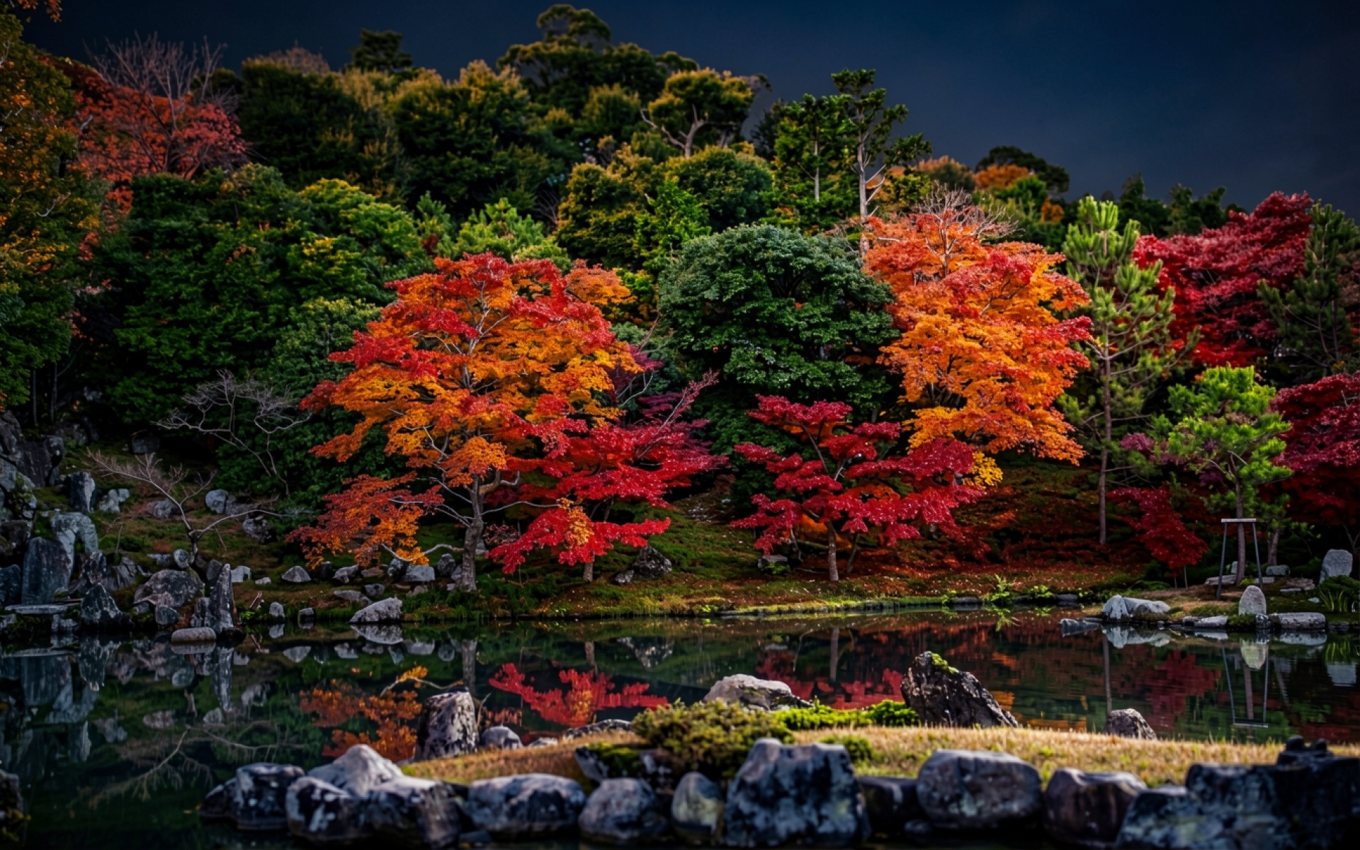 Японский сад с красными кленами осенью
