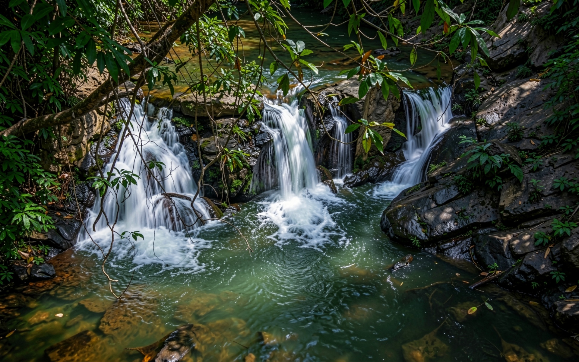 Лесной водопад с изумрудной водой в джунглях
