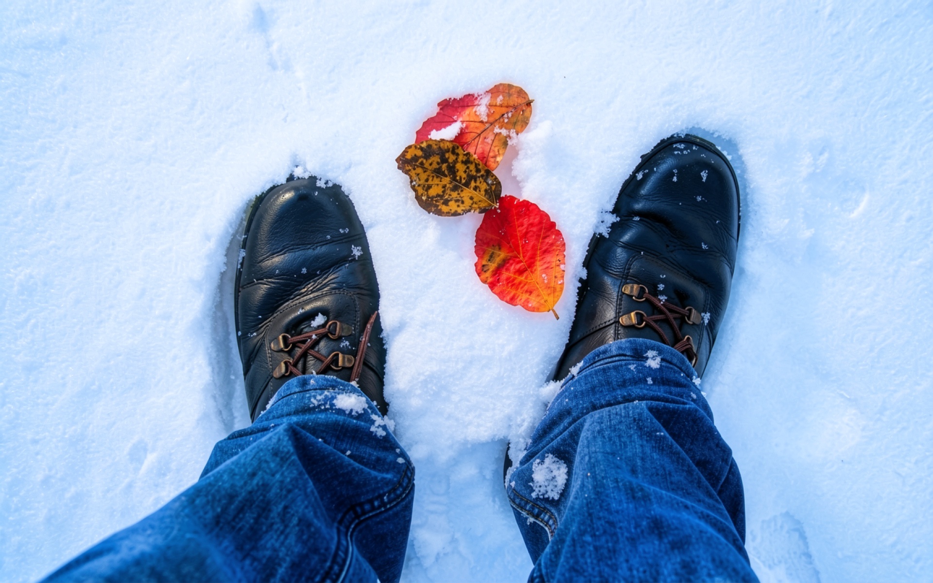 Черные кожаные ботинки в белом снегу