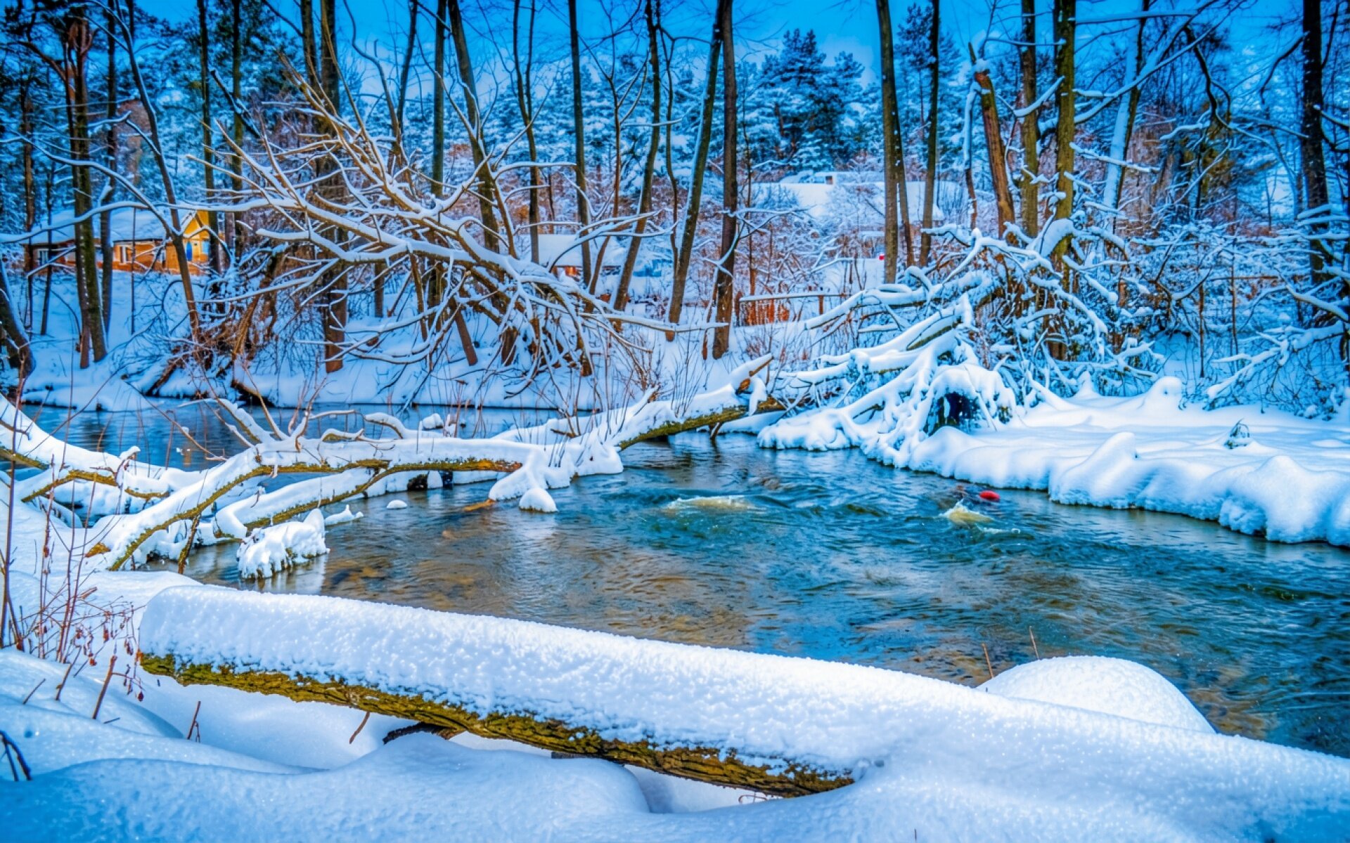Зимний лес с заснеженным ручьем в синих тонах