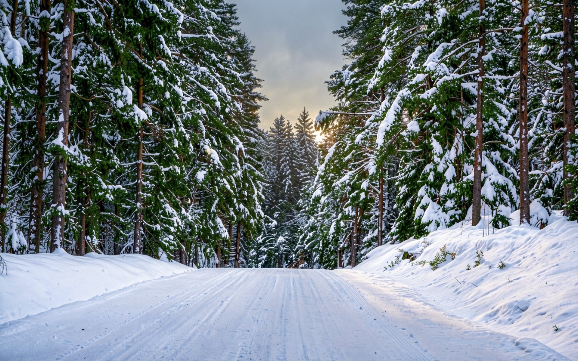 Зимняя дорога в заснеженном хвойном лесу
