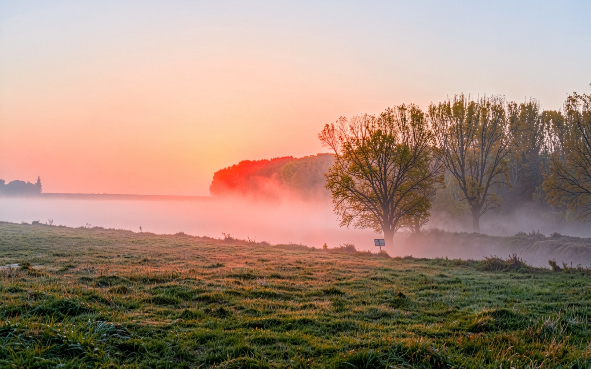 Утренний туман над рекой в золотистых тонах