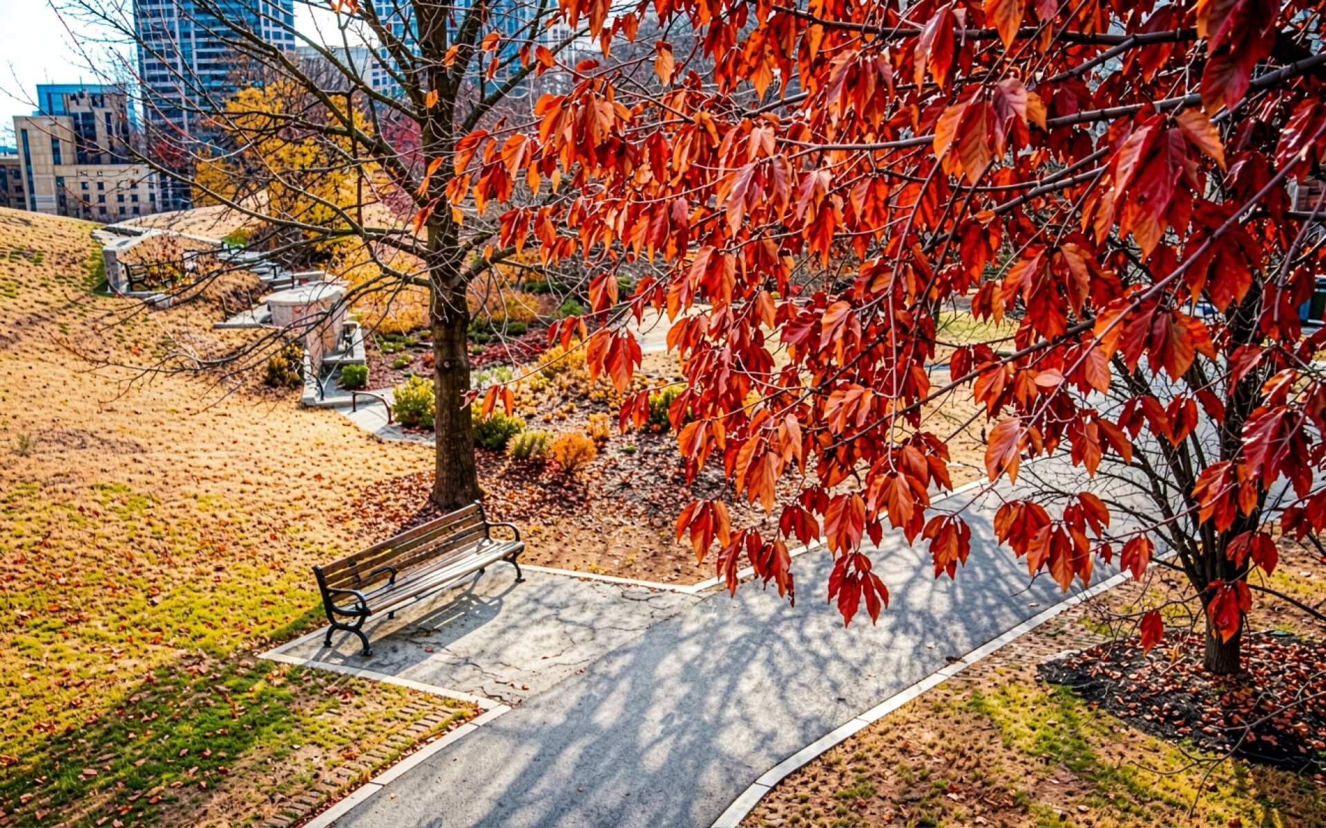 Осенний парк с красными листьями и скамьей