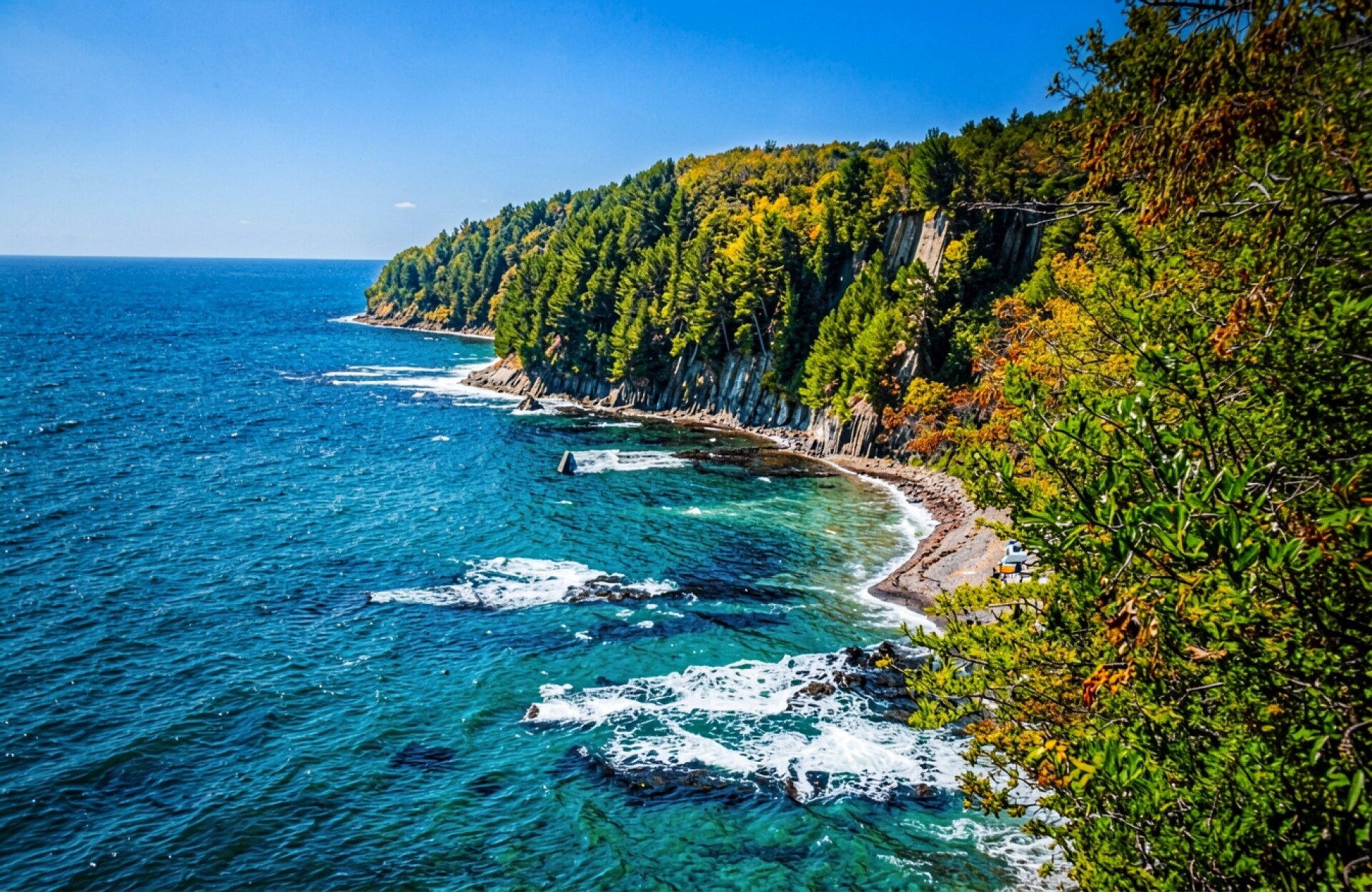 Пейзаж скалистого берега с хвойным лесом